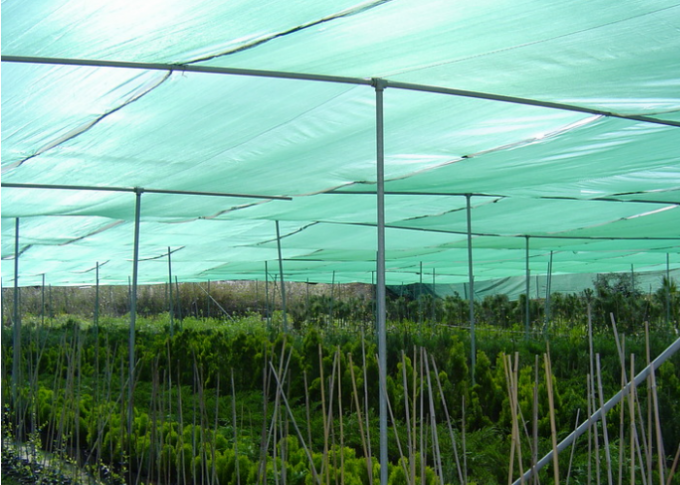 HDPE de la malla del shading del invernadero de la agricultura del 30%, pantalla modificada para requisitos particulares de la sombra de Sun