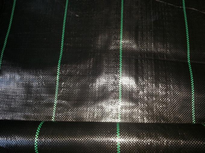 Cubierta de tierra plástica tejida polipropileno, tela del jardín del negro 100gsm de los 4.2x100m