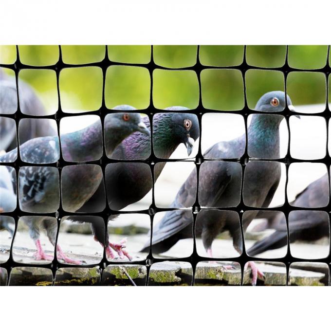 Red anti del pájaro de la protuberancia plástica del HDPE para el viñedo agrícola