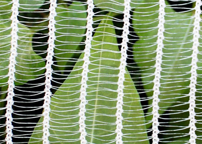 Static Knitted Vegetable Garden Netting , 30gsm - 100gsm Hail Protection Net