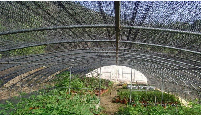Paño de la sombra del huerto de la granja de la horticultura para la tarifa que sombrea anti de la sol el 60%