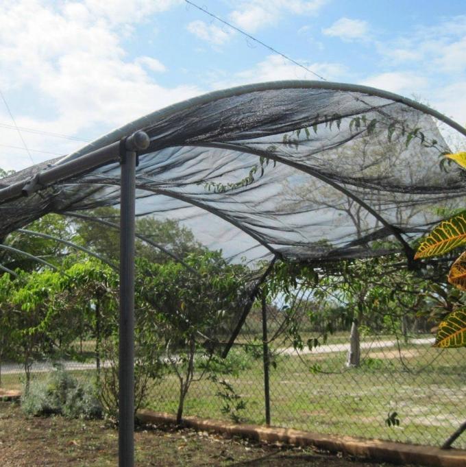Paño negro ULTRAVIOLETA de la sombra de la tela de la sombrilla del 60% para el jardín del invernadero al aire libre