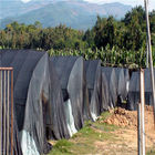 Durable Greenhouse Shade Cover , Sun Shade Net For Protecting Vegetables
