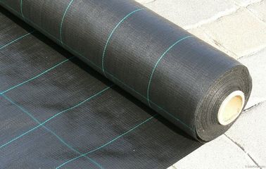 China Cubierta de tierra plástica tejida polipropileno, tela del jardín del negro 100gsm de los 4.2x100m fábrica